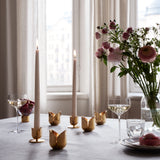 Tealight Holder The Tulip